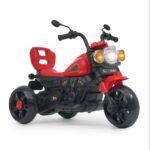 Rechargeble bike 1 to 4